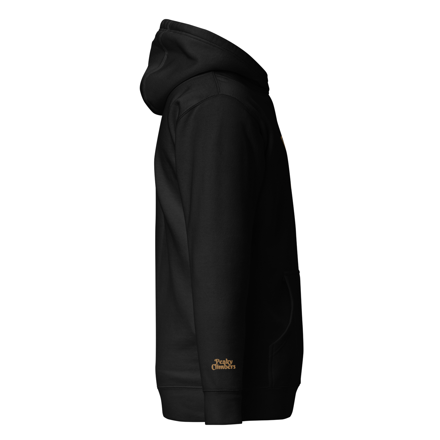 Shawn Raboutou - Alphane Hoodie Brodé