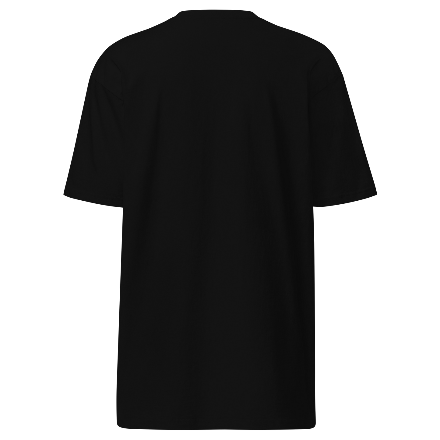 Simple Black T Shirt PCW RAW street lines