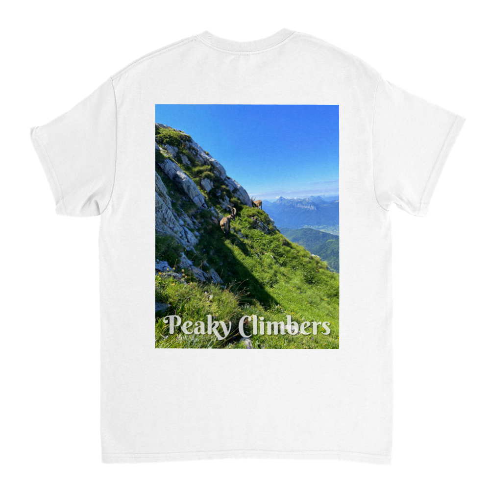 T-shirt Peaky Ibex