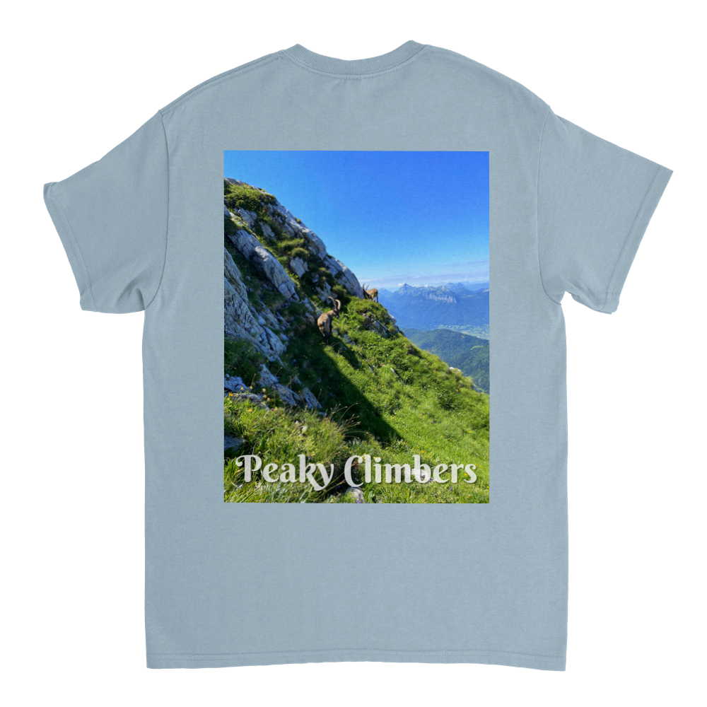 T-shirt Peaky Ibex