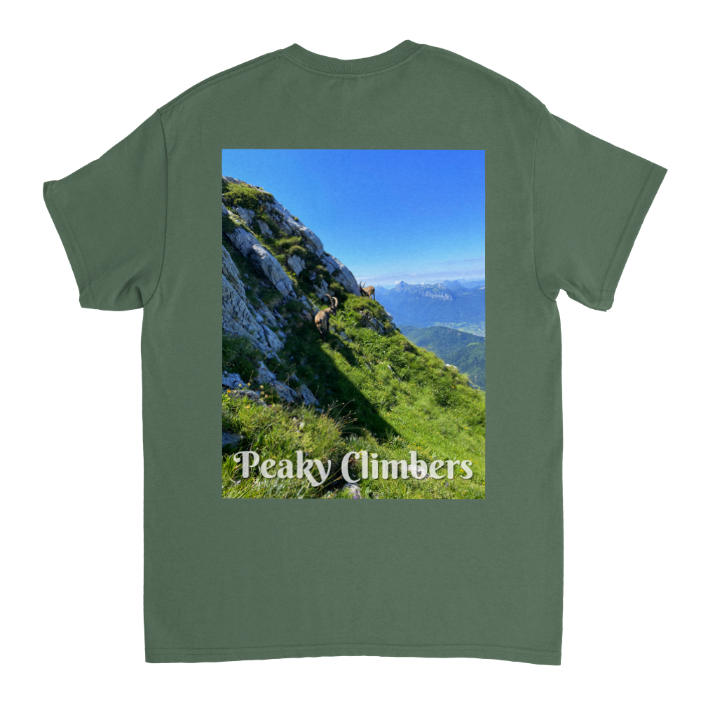 T-shirt Peaky Ibex