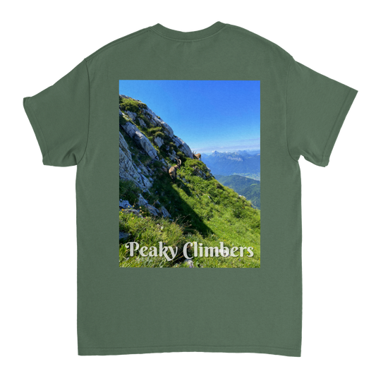 T-shirt Peaky Ibex