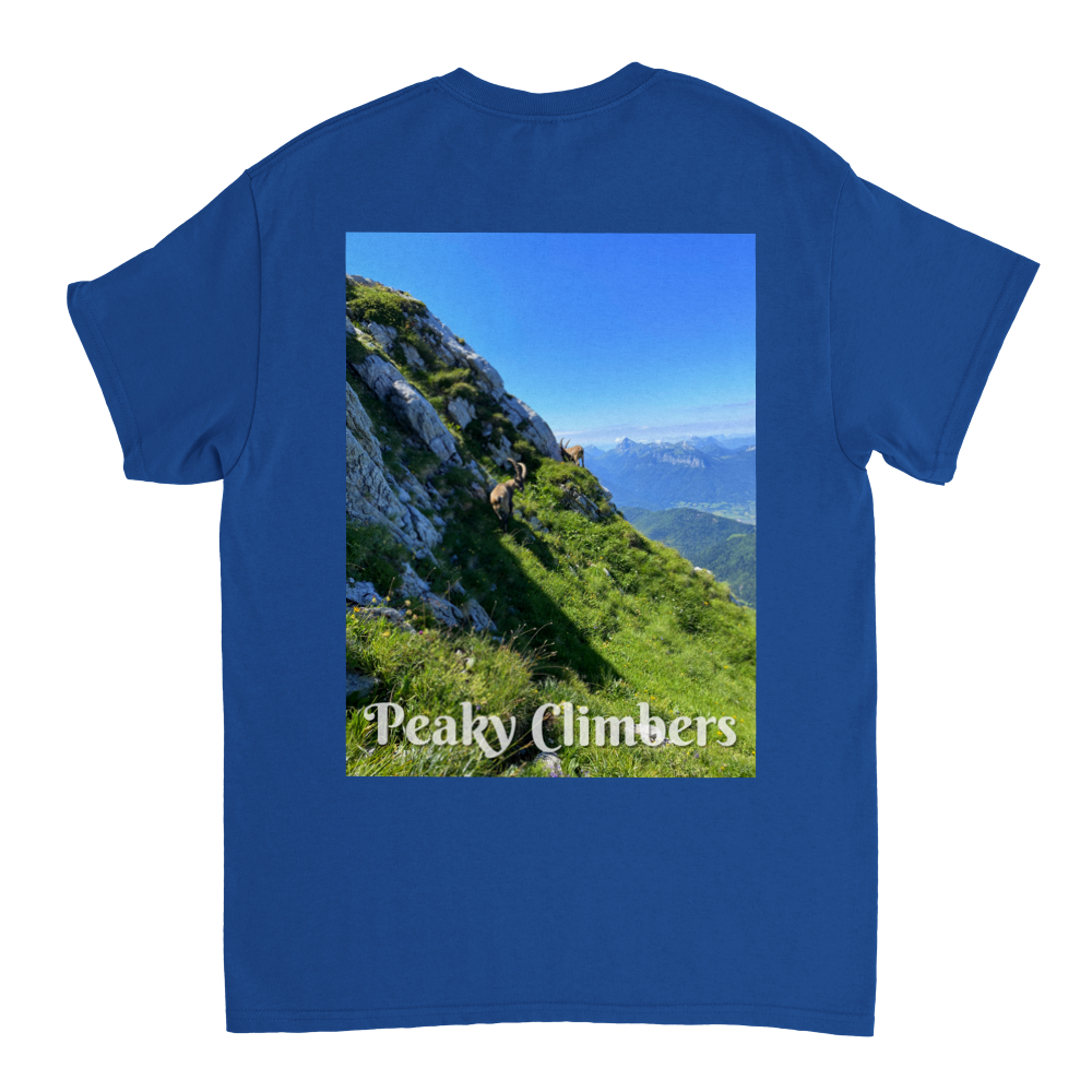 T-shirt Peaky Ibex